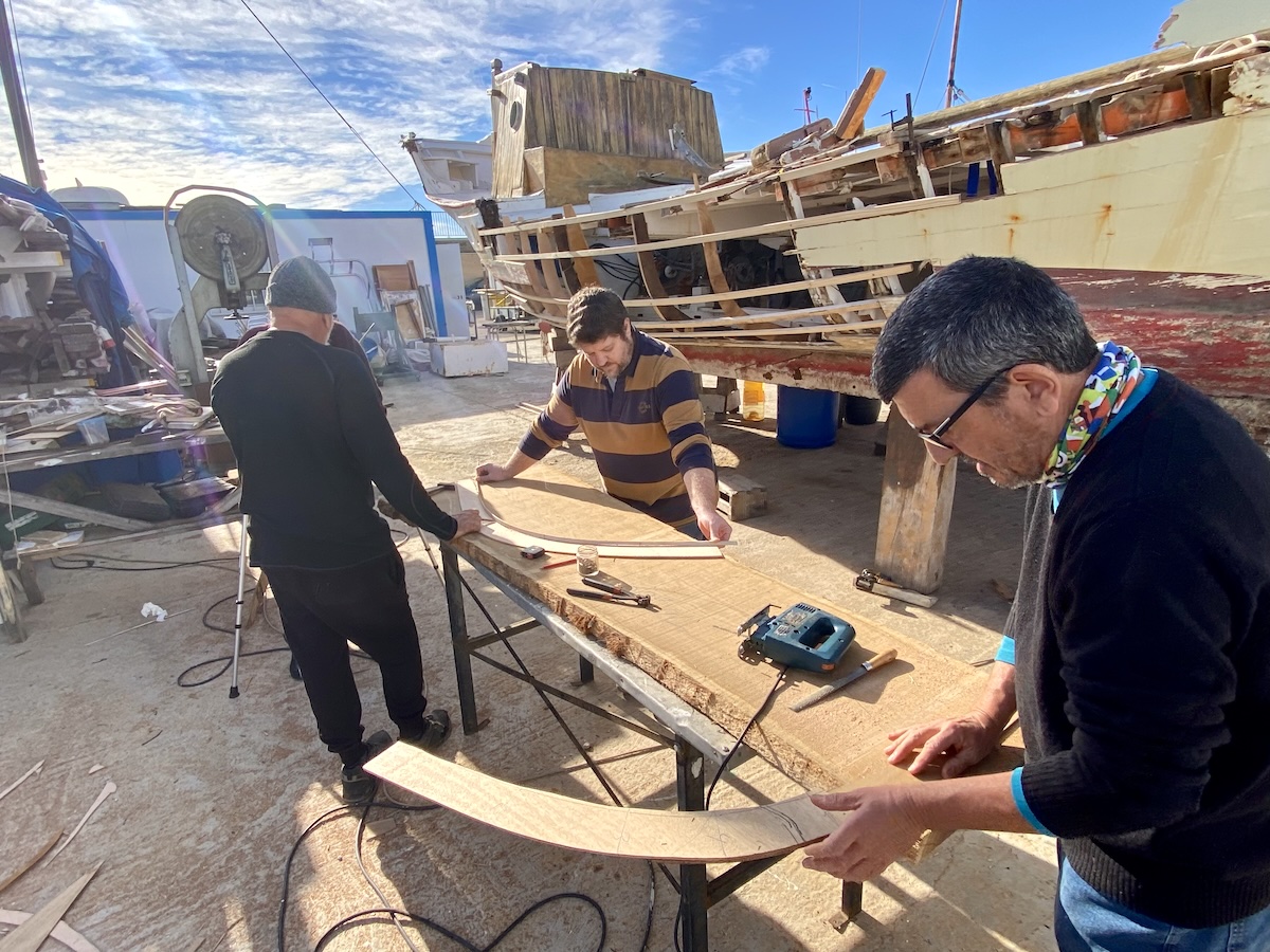 La recuperació de l’Odina